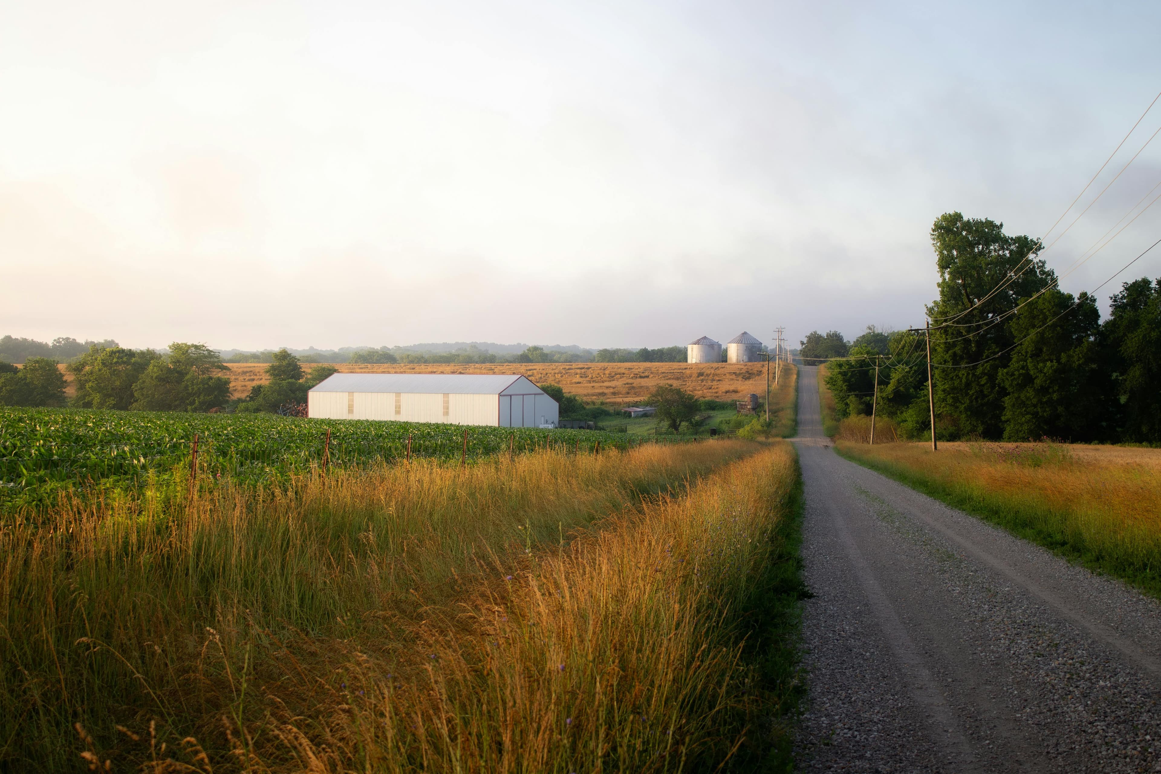 Rural farmland with country road at golden hour